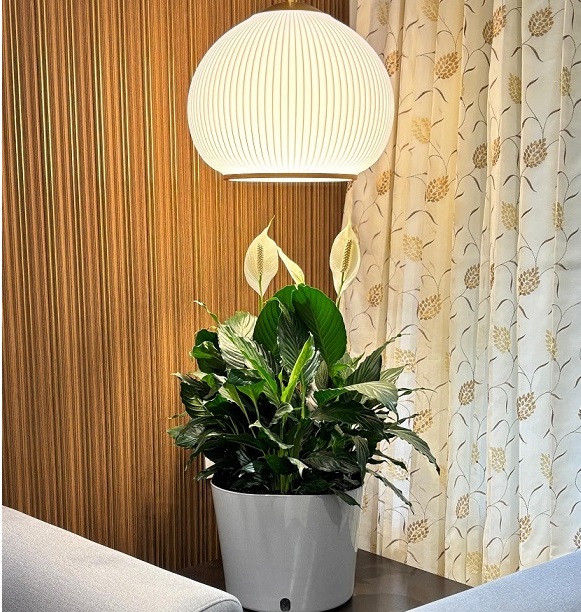 Vertical garden wall