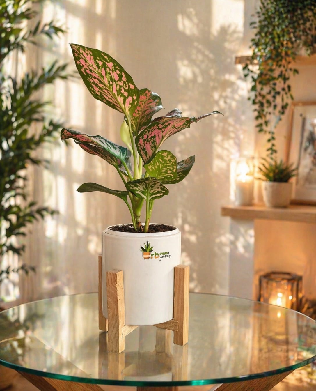 Urban Yards Nagpur nursery interior