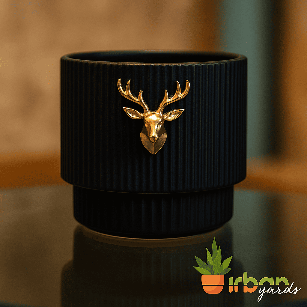 Eco Friendly Pots