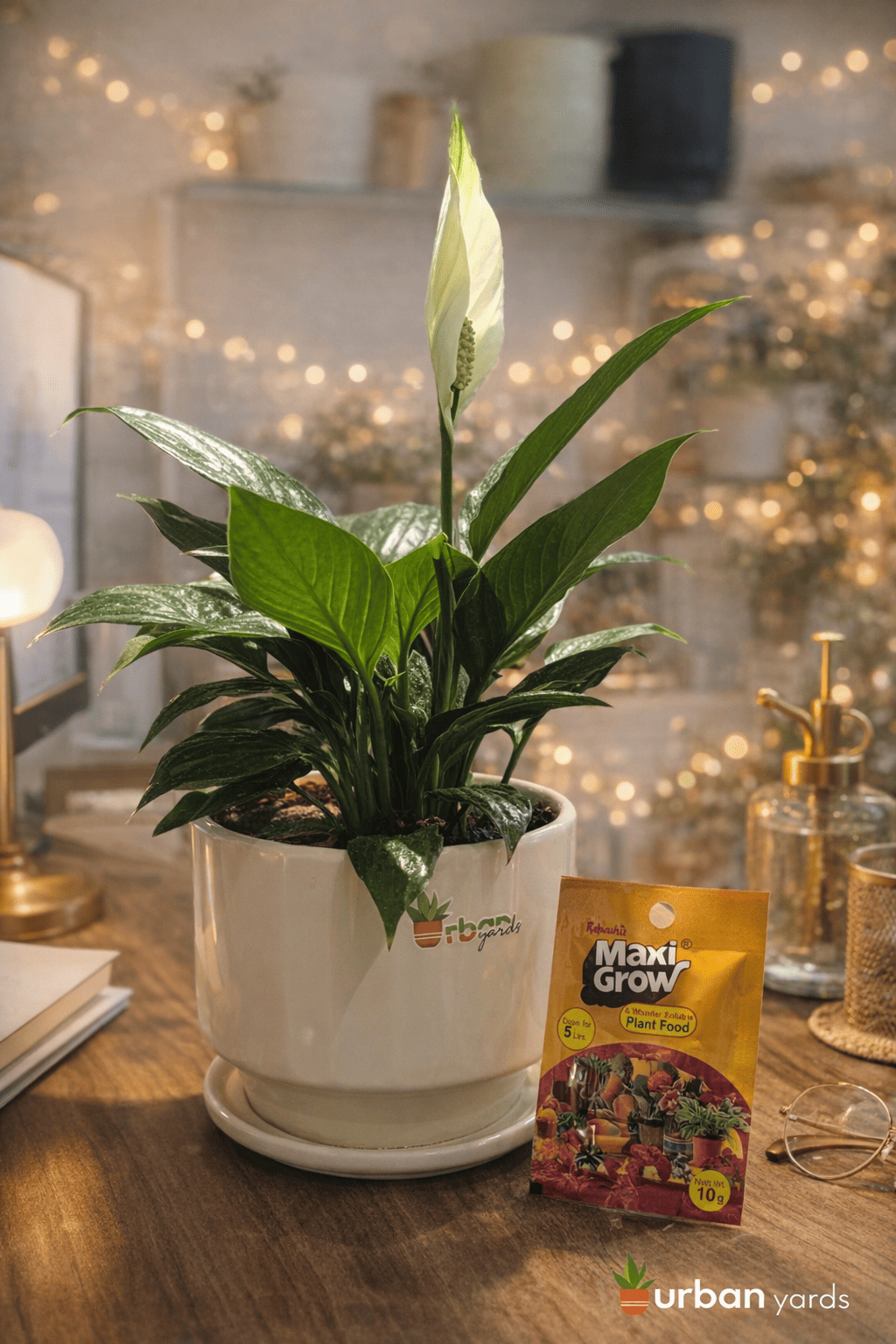 Ceramic Pots and Planters