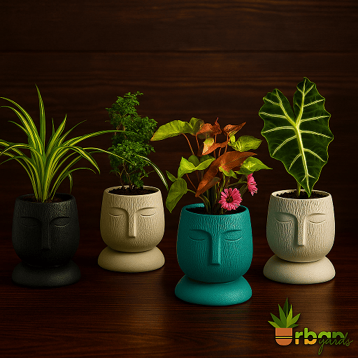 Ceramic Pots and Planters