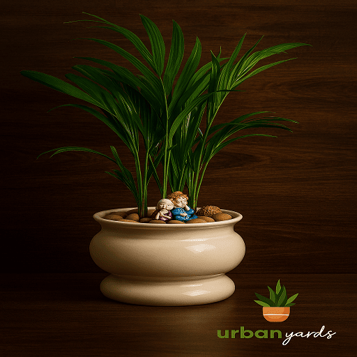 Ceramic Pots and Planters